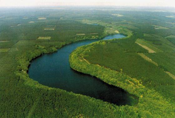 Jezioro Krzywe (Podkowa) k. Przelewic, gm. Człopa Pomorze Zachodnie