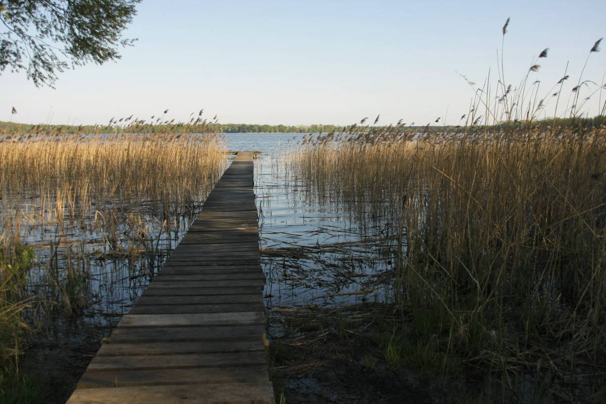 Jezioro Morzycko (Mohriner See) - Pomorze Zachodnie